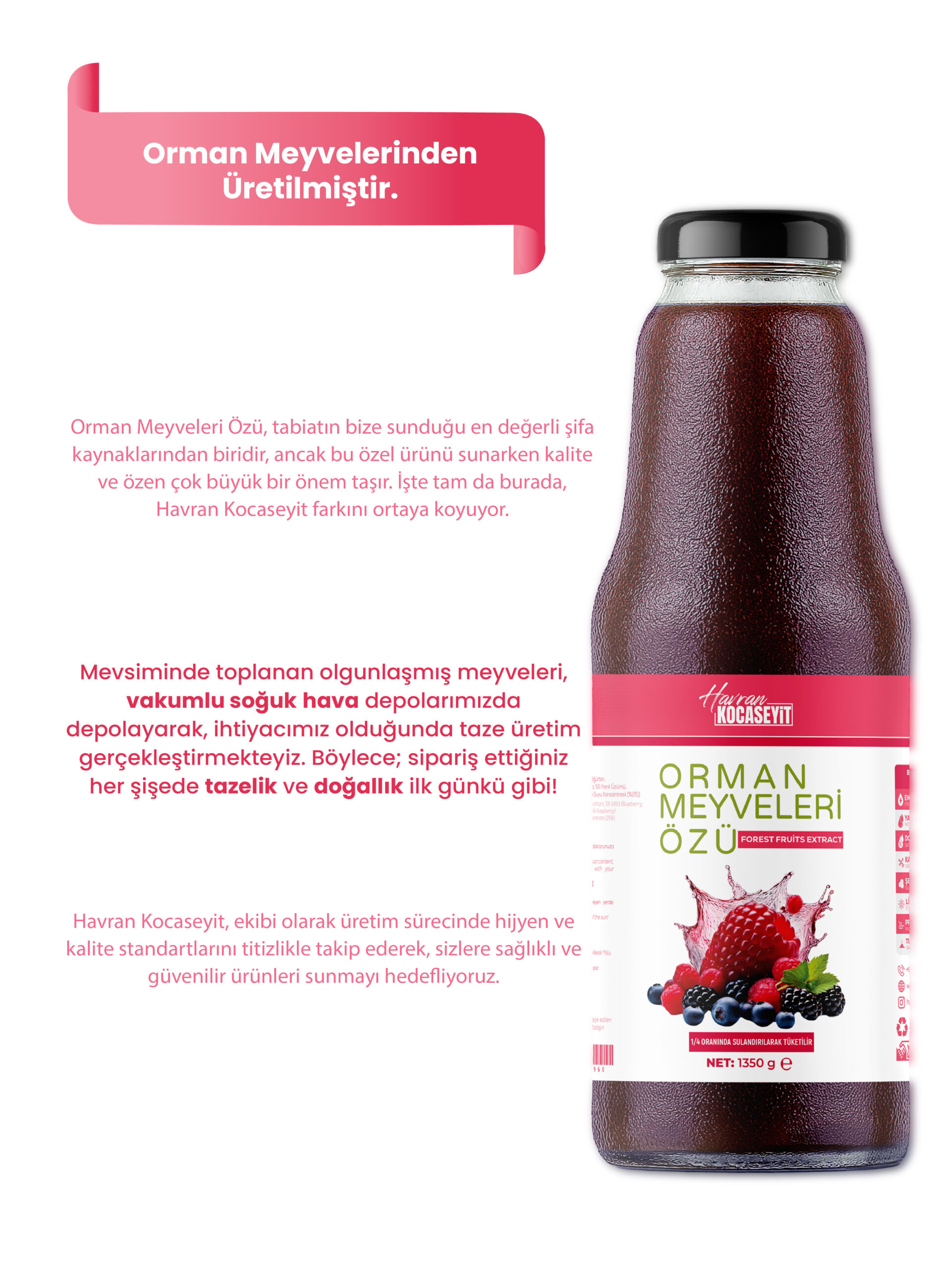 Orman meyvelerinden Havrankocaseyit