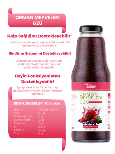 Orman Meyveleri Özü
