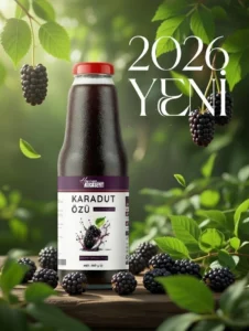 Organik Karadut ozu 2026