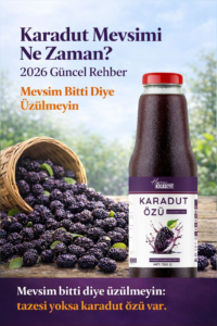 Havran Kocaseyit Karadut Mevsimi Ne Zaman