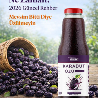 Yaban Mersini Meyvesi Hangi Mevsimde Olur?