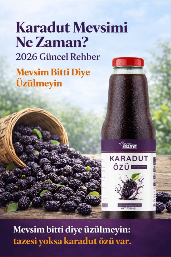 Havran Kocaseyit Karadut Mevsimi Ne Zaman