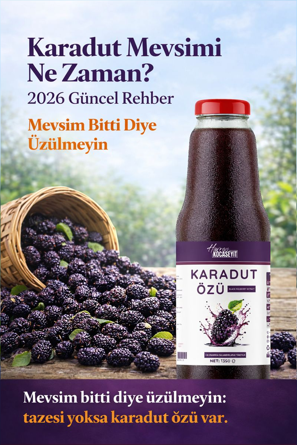 karadut mevsimi ne zaman