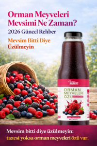 Havran Kocaseyit Orman Meyveleri Mevsimi Ne Zaman