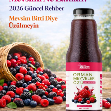 Yaban Mersini Meyvesi Hangi Mevsimde Olur?