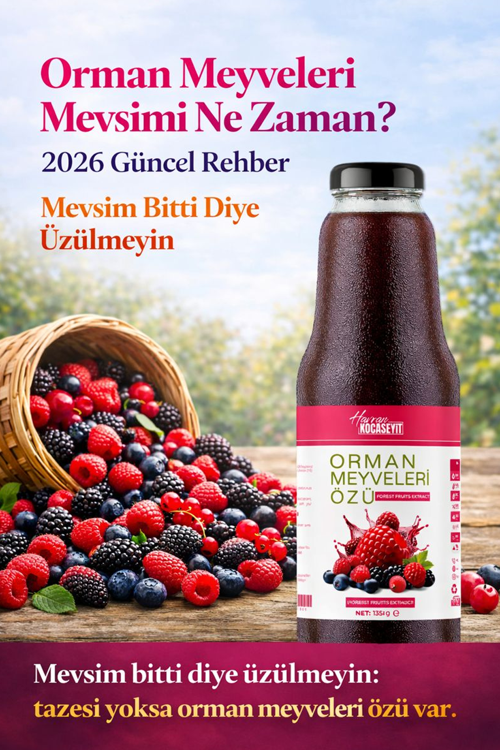 Havran Kocaseyit Orman Meyveleri Mevsimi Ne Zaman