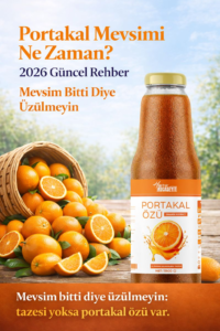 Havran Kocaseyit Portakal Mevsimi Ne Zaman