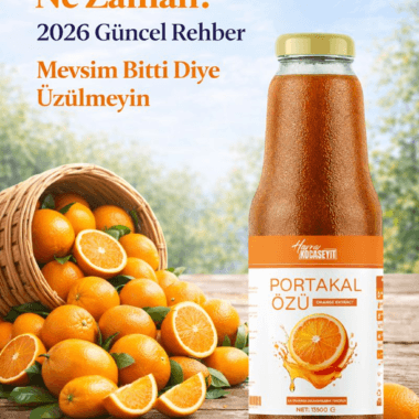 Yaban Mersini Meyvesi Hangi Mevsimde Olur?