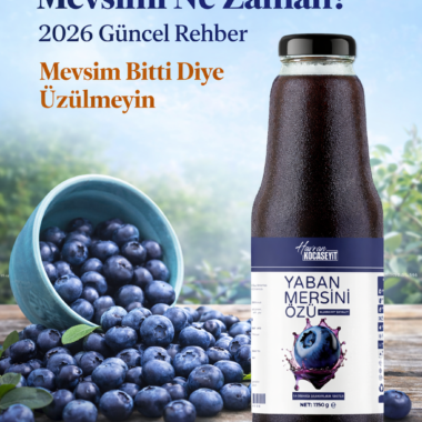 Yaban Mersini Meyvesi Hangi Mevsimde Olur?