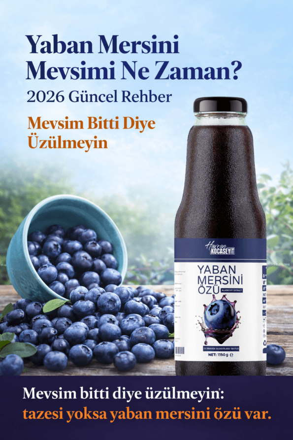 Havran Kocaseyit Yaban Mersini Mevsimi Ne Zaman