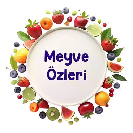 Meyve Özü