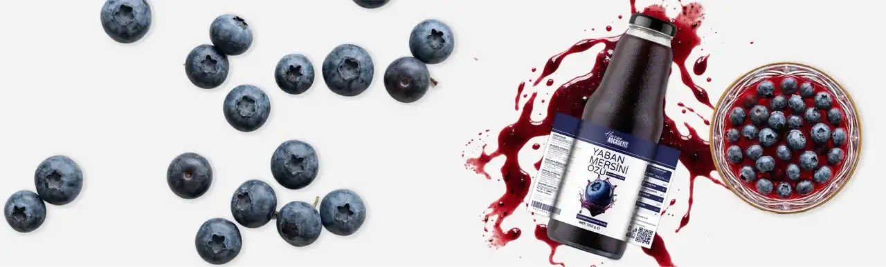 Yaban mersini özü 1350g doğal meyve özü banner görseli